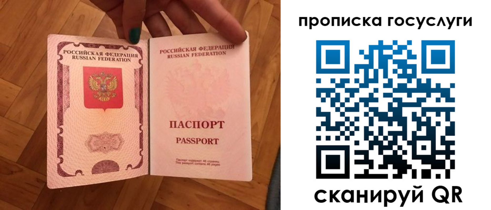прописка в Александровске-Сахалинском